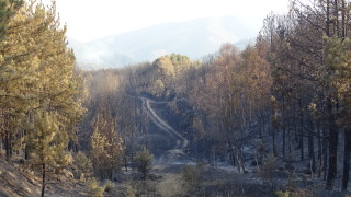 Локализираха пожар край Великотърновското село Водолей