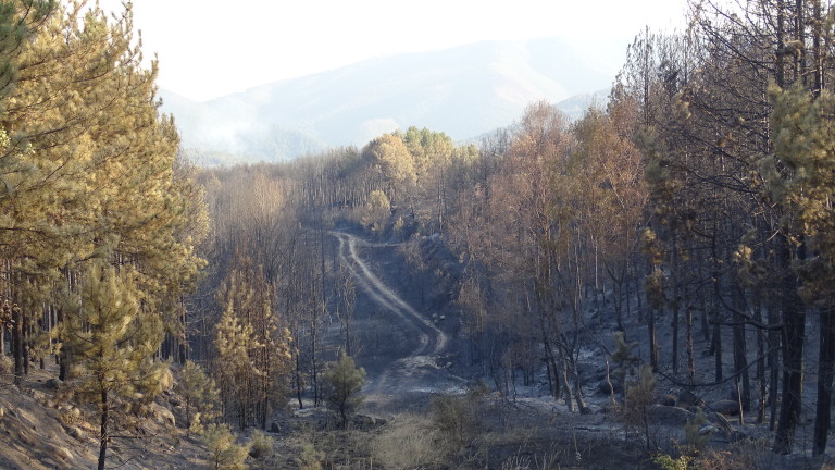 Локализираха пожар край Великотърновското село Водолей