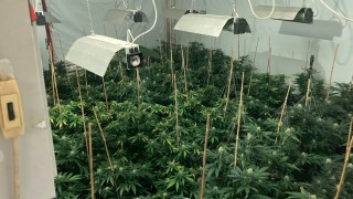 В петък вечерта при специализирана полицейска операция за противодействие на