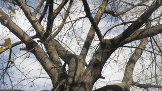 Предимно облачно и топло за сезона ще бъде времето в