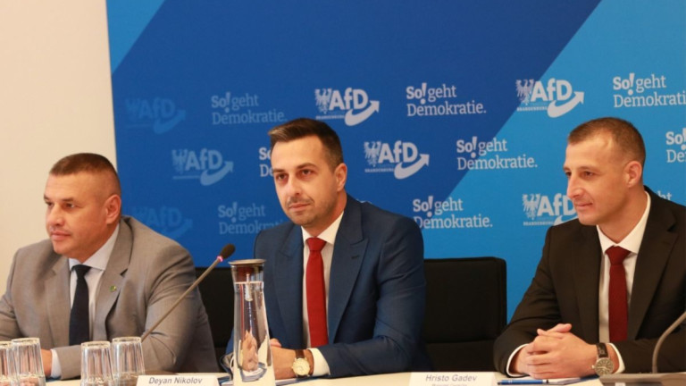 Изображение 740313