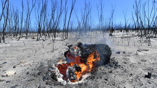 Мирис на дим се усеща във въздуха в Австралия