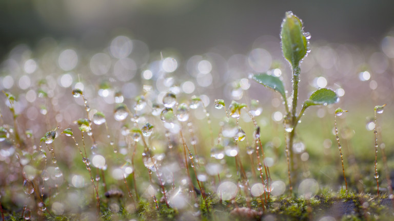 Предимно облачно, с валежи,  възможни са и гръмотевици