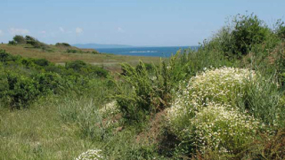 М. Търново готви бунт, не иска фекалиите на Бургас