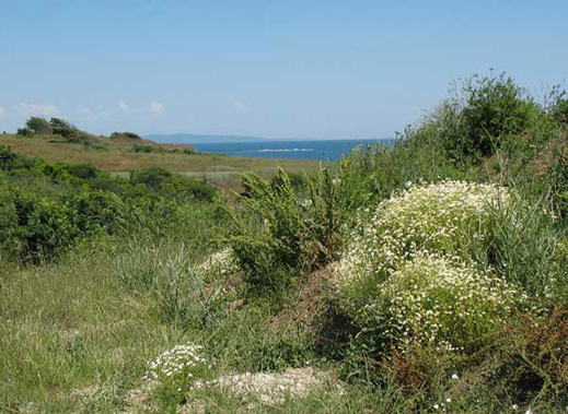 Тръгва проект за развитие на Странджа