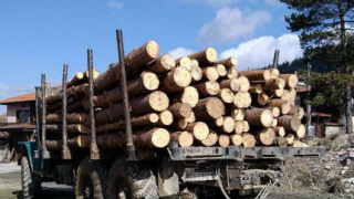 Дърводобивните фирми готвят протести