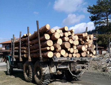Депутатите се надпреварват с решения на проблемите в горския сектор