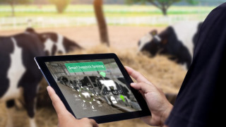 Структурата на българската икономика позволява тя да бъде засегната в