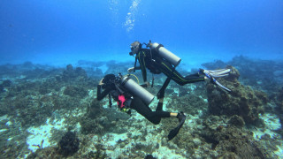 Водолази почистват морското дъно край Бургас