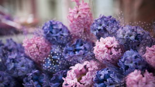 По света честват Международния ден на жената