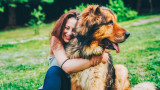 15 породи кучета с най-малка продължителност на живота