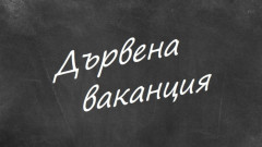 Студът днес остави учениците в Плевен по домовете им