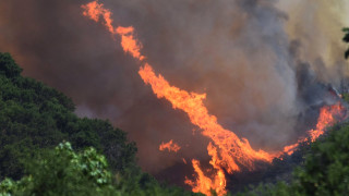 Горските пожари в Гърция продължават