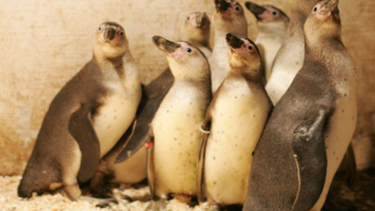 Изображение 113413