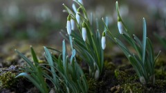 Седмицата започва със слънце