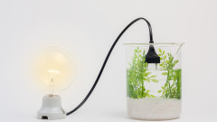 Технологичен пробив за милиарди: Създадоха система, която произвежда чиста енергия чрез изкуствена фотосинтеза