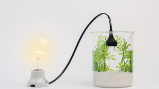 Преди повече от век италианският химик Джакомо Чамичан предупреждава че