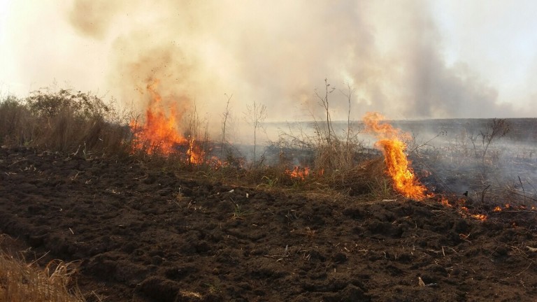 Седемнайсет сигнала за пожари в обработваеми земеделски площи са подадени