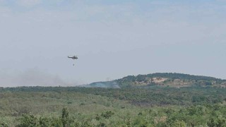 Овладян е пожарът в землищата на селата Стефан Караджово Камен