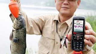 Корейци ловят риба с помощта на мобилен телефон