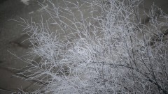 Оранжев и жълт код за валежи и вятър в половината страна