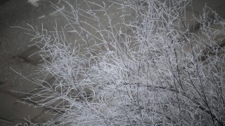 Днес времето в страната ще е предимно облачно на места