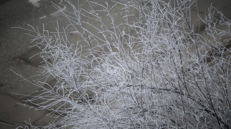 Изображение 746513