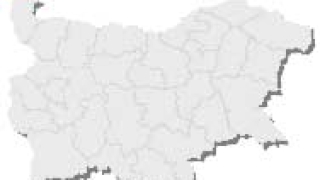 В Брегово строят граничен ветеринарен пункт