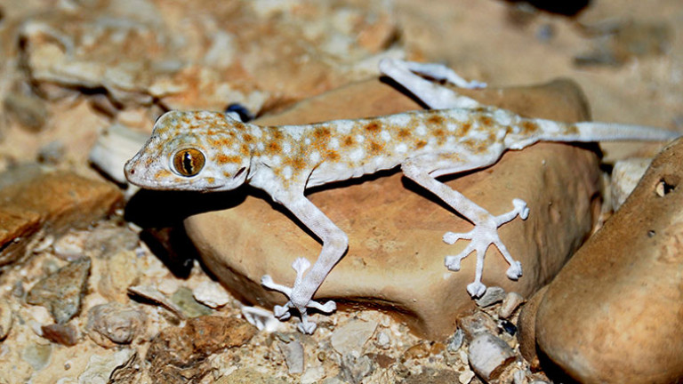 Изображение 407613