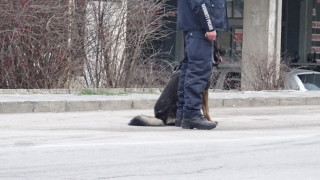 Поставят под карантина румънско село Картожани което е в окръг