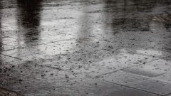 Две жилища пропаднаха заради свлачище в Свищов
