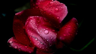 Днес ще преобладава слънчево време Около и след обяд ще