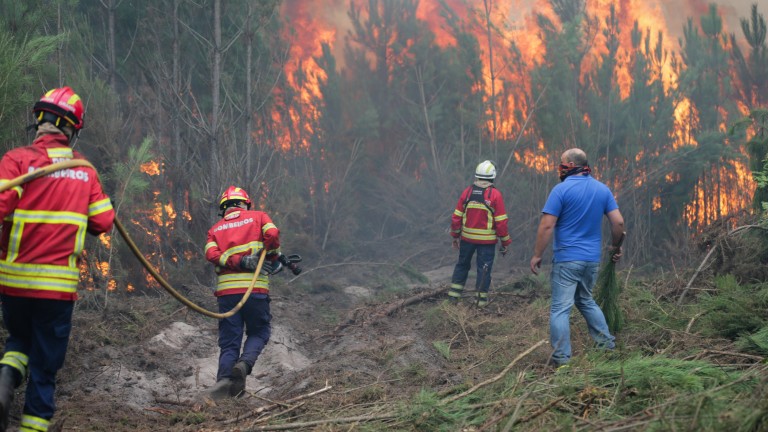 Изображение 318313