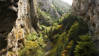 Въведен е пропускателен режим за автомобилите по пътя за село