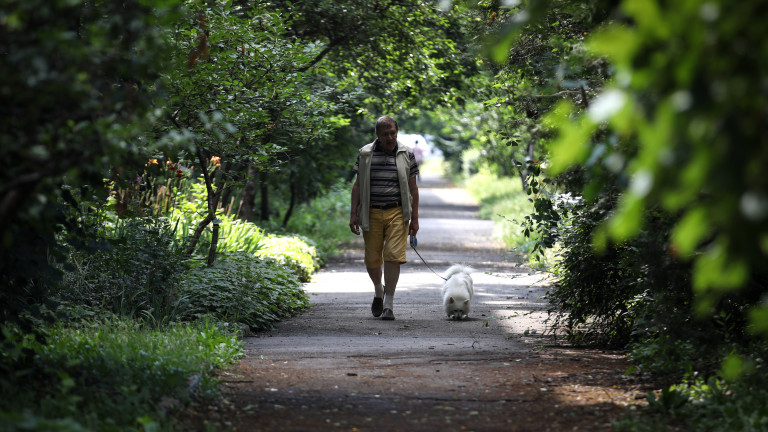 Предимно слънчево в петък
