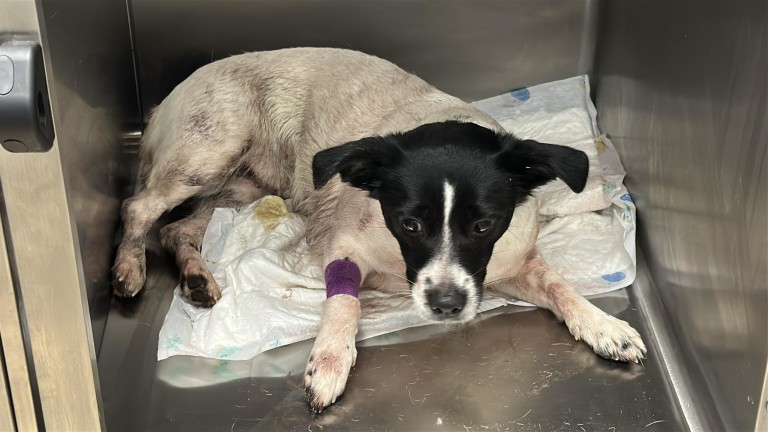 Изображение 749413