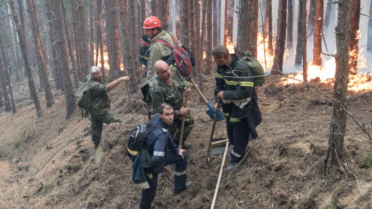 Огнеборци се борят с голям горски пожар в Старозагорско