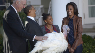 Обама помилва две пуйки за Деня на благодарността 