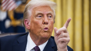 Група от 22 щати ръководени от Демократическата партия заедно с