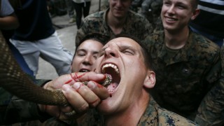 Американски и тайландски пехотинци пиха змийска кръв и ядоха скорпиони