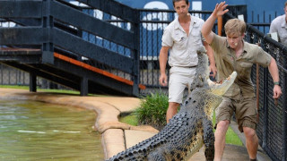 Какво се случва със сина на Ловеца на крокодили