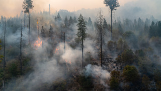 Втори ден огнеборците се борят с пожара в природния парк