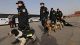 Експлозията в китайската детска градина е криминален случай 