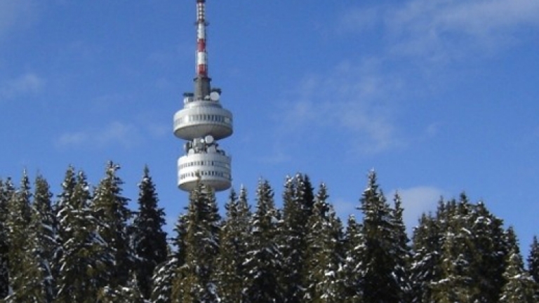 Изображение 202914