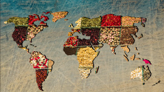 Всеки има любима дестинация за пътуване Всеки има и любима