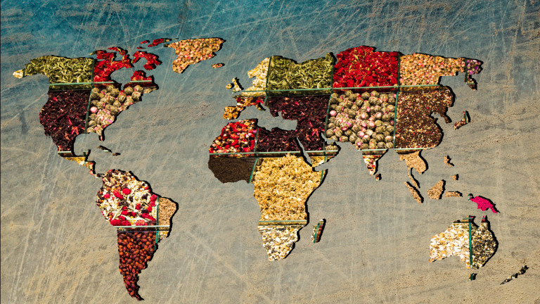 Всеки има любима дестинация за пътуване. Всеки има и любима