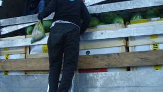 Четирима нелегални мигранти скрити сред дини в товарен камион задържаха