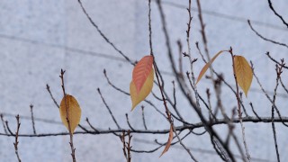 НИМХ издаде предупреждение за значителни валежи от дъжд за 14