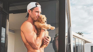 Всички обичаме кучета и всички дами и не само обичаме