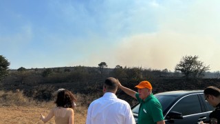 Пожар гори в района на връх Синаница в Пирин съобщи